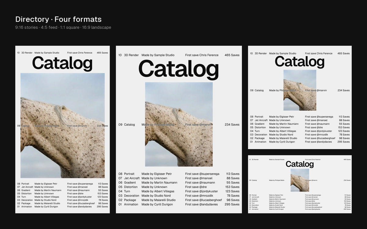 Directory Figma Motion template preview 1