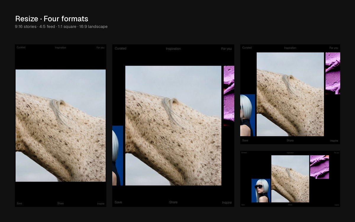 Resize Figma Motion template preview 1