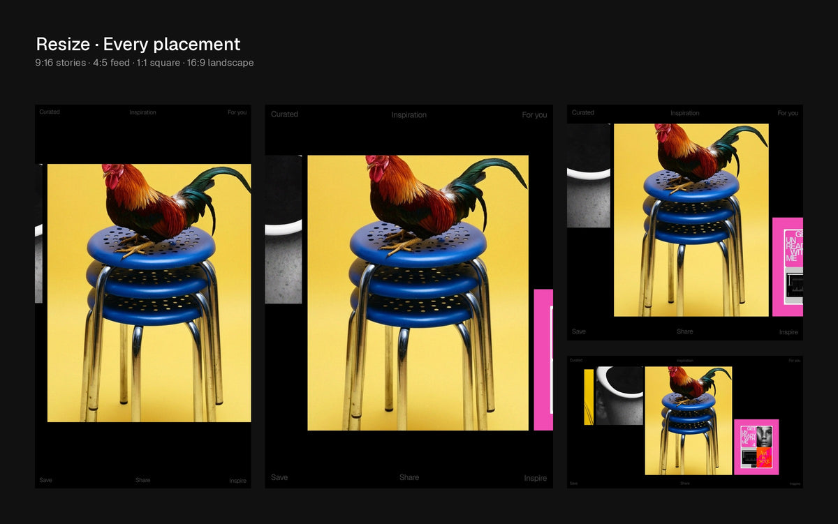 Resize Figma Motion template preview 3